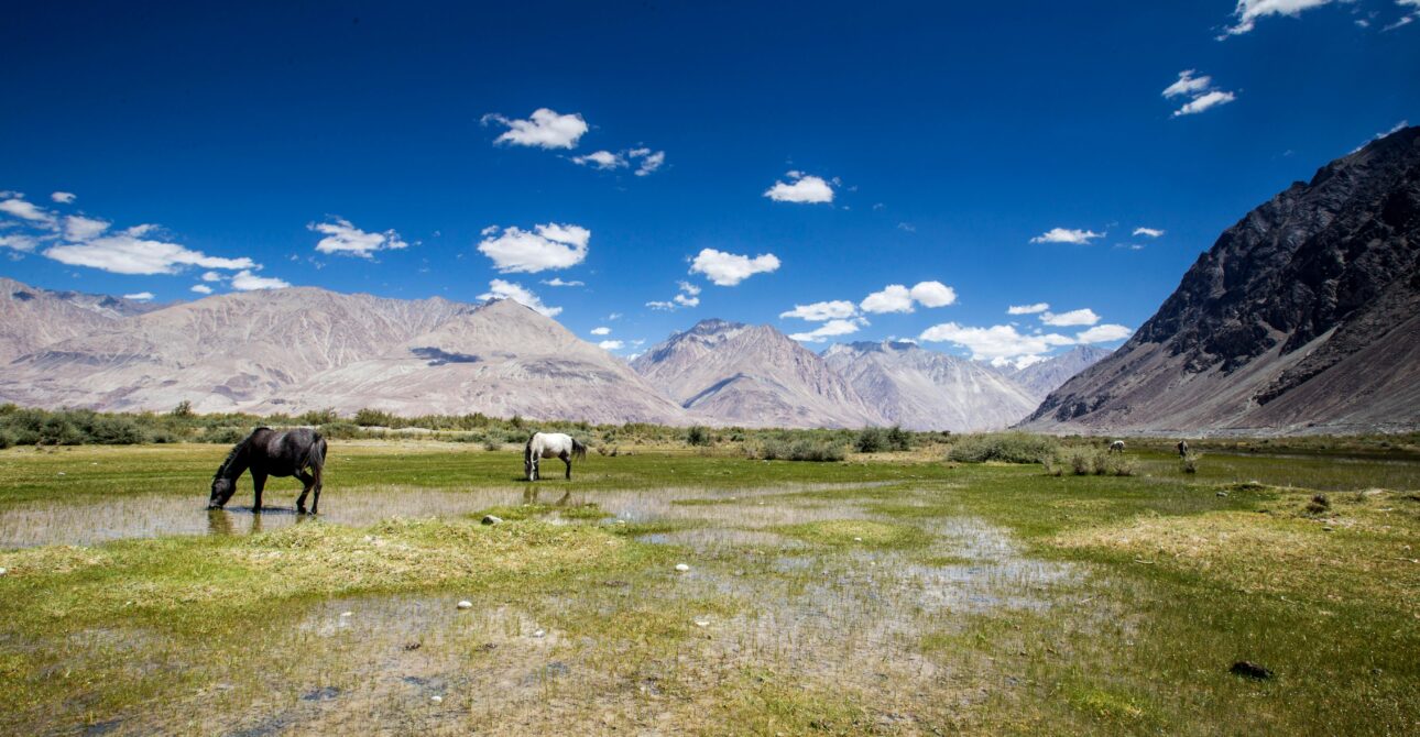 Leh-Ladakh